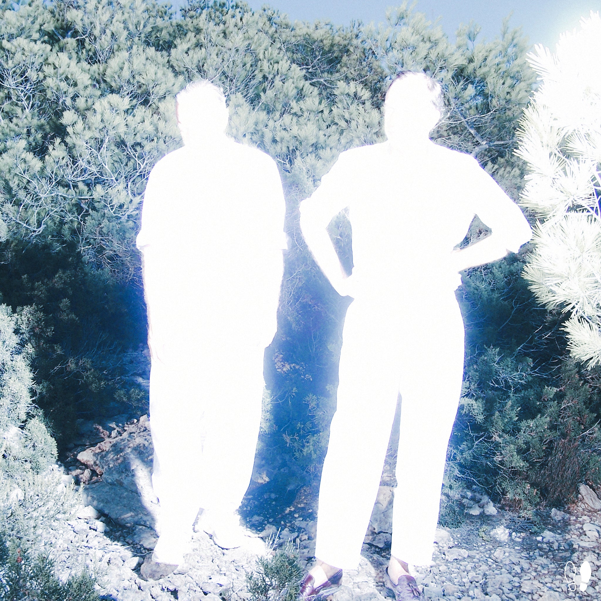 Soulwax